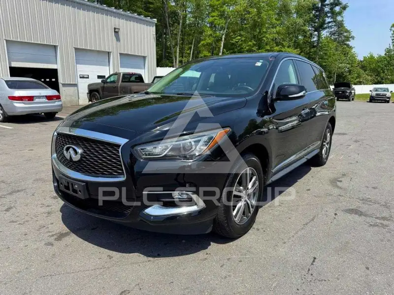 2019 Infinity QX60 photo
