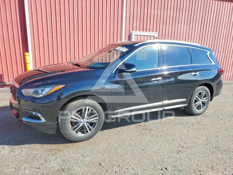 2019 Infinity QX60 фото
