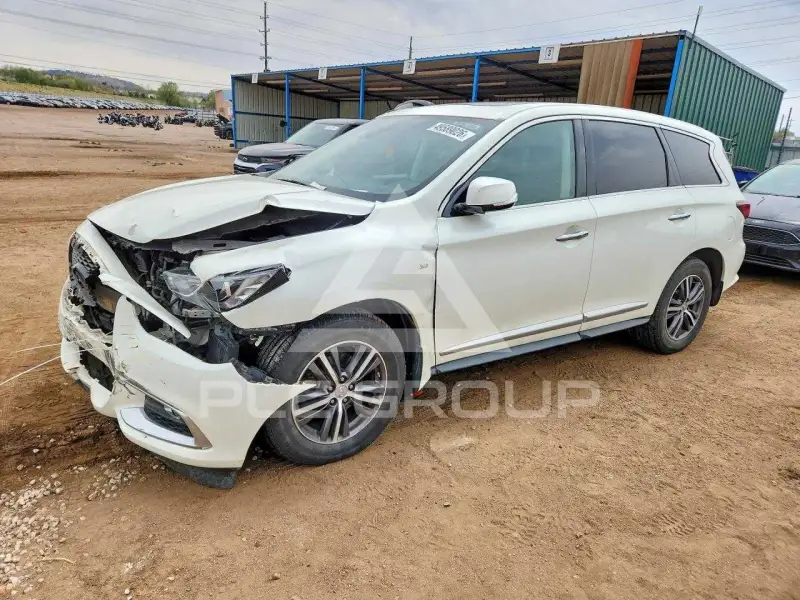 2019 Infinity QX60 photo