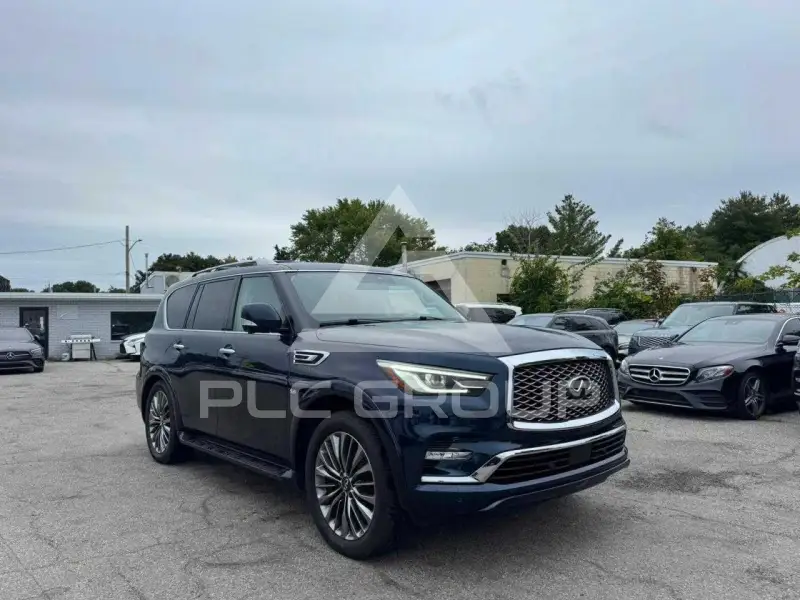 2019 Infinity QX80 photo
