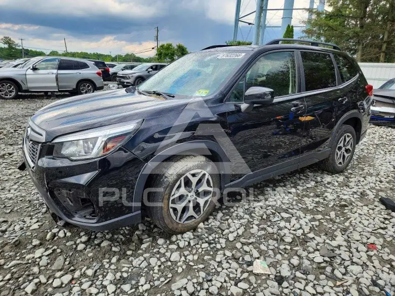 2019 Subaru Forester фото