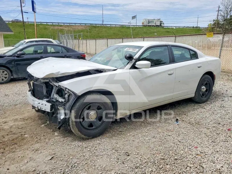 2019 Dodge CHARGER photo