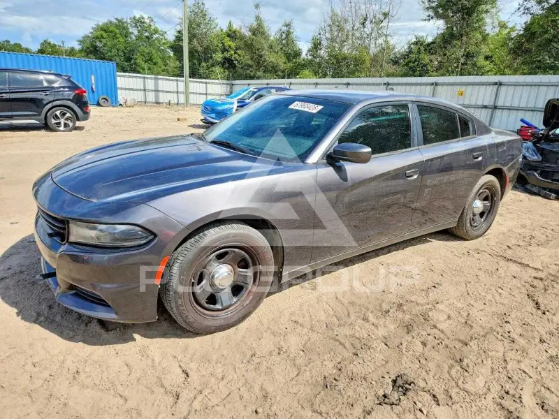 2019 Dodge CHARGER photo
