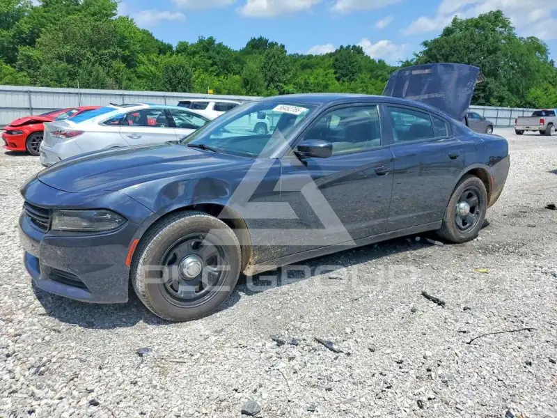 2019 Dodge CHARGER фото