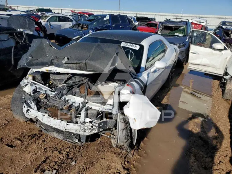2019 Dodge CHALLENGER фото