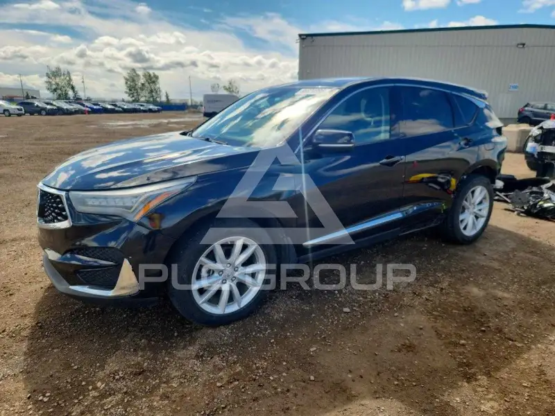 2019 Acura RDX photo