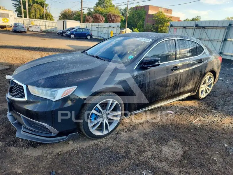 2019 Acura TLX photo
