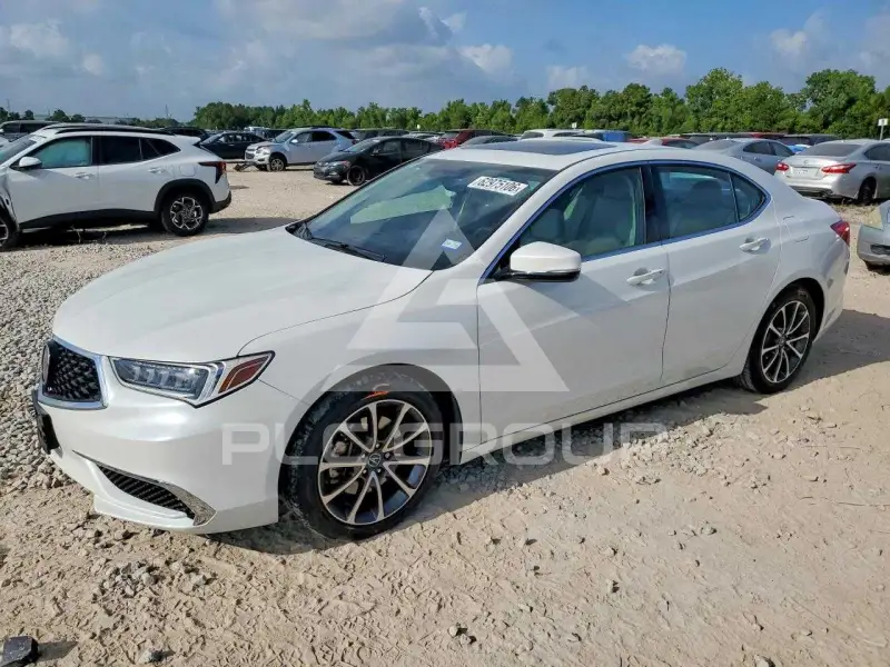 2019 Acura TLX photo