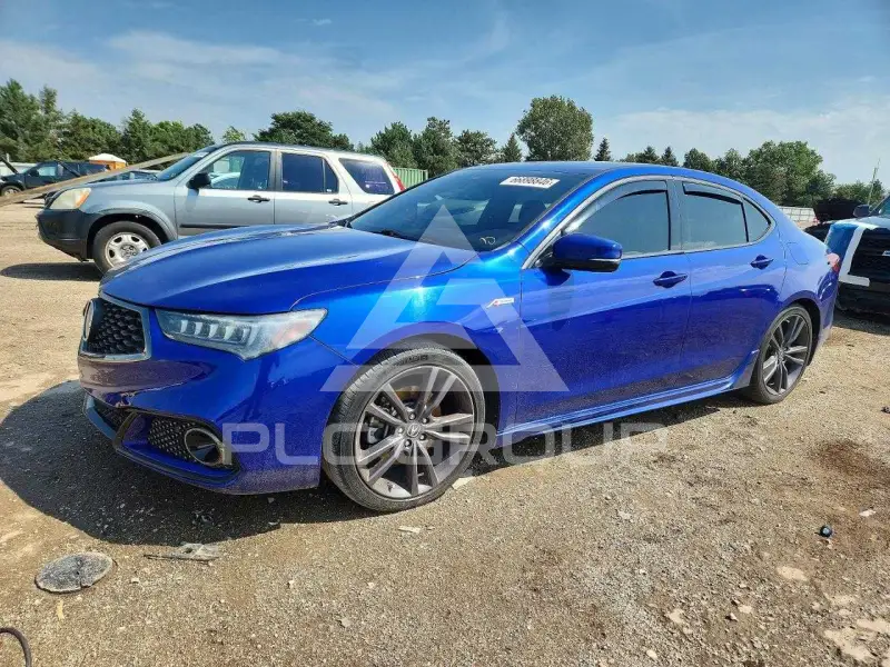 2019 Acura TLX фото