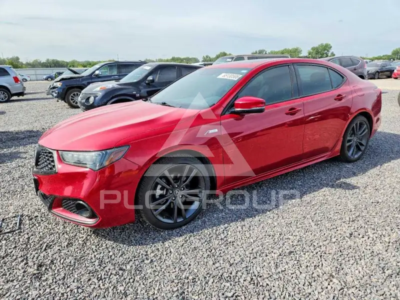 2019 Acura TLX фото