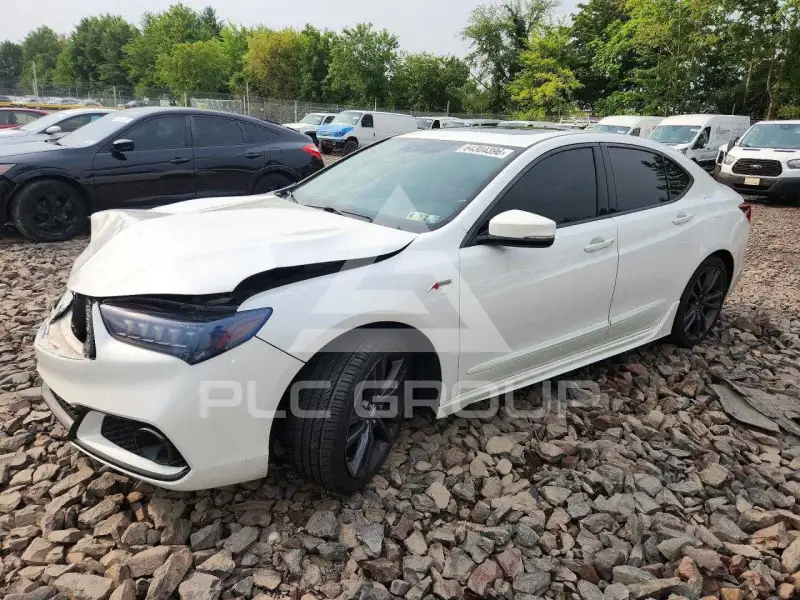 2019 Acura TLX photo