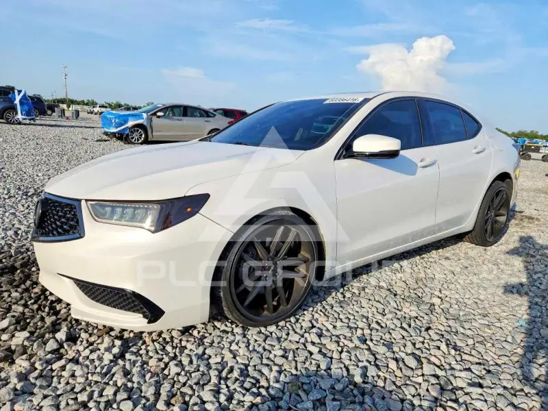 2019 Acura TLX фото
