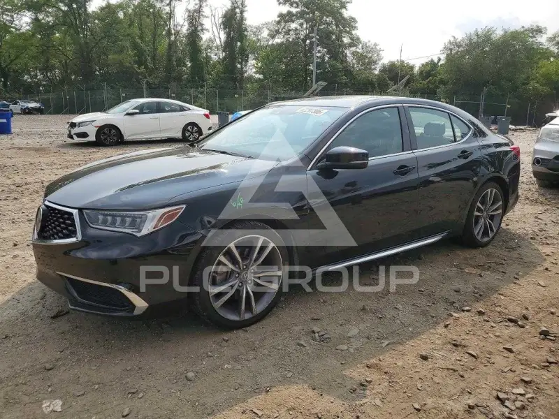 2019 Acura TLX photo
