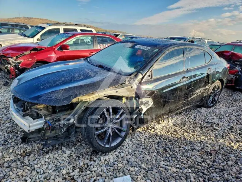 2019 Acura TLX фото