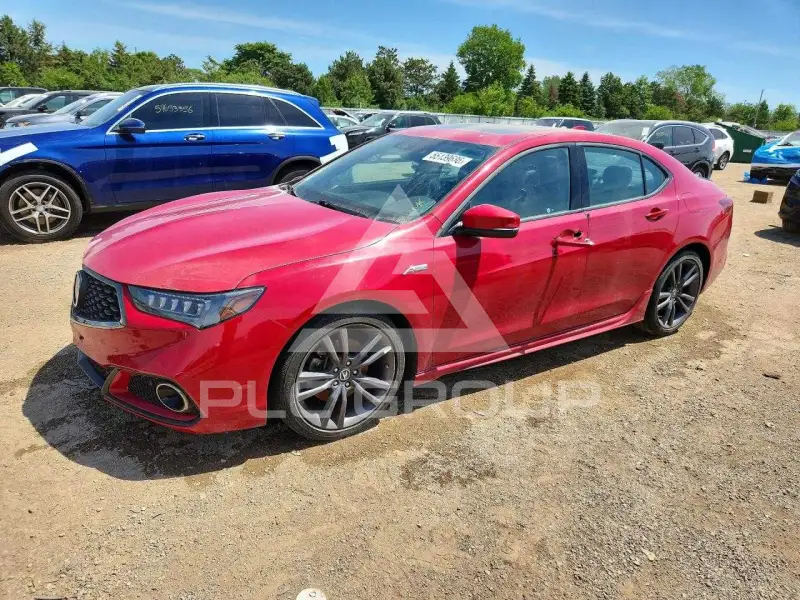 2019 Acura TLX фото