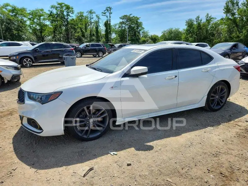 2019 Acura TLX фото