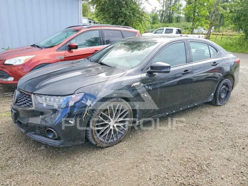2019 Acura TLX фото