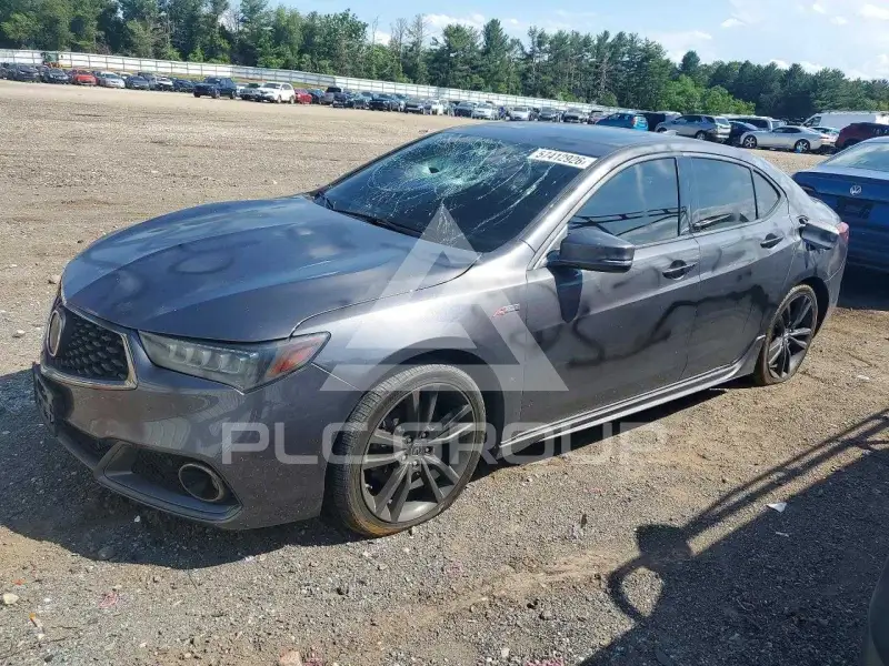 2019 Acura TLX фото