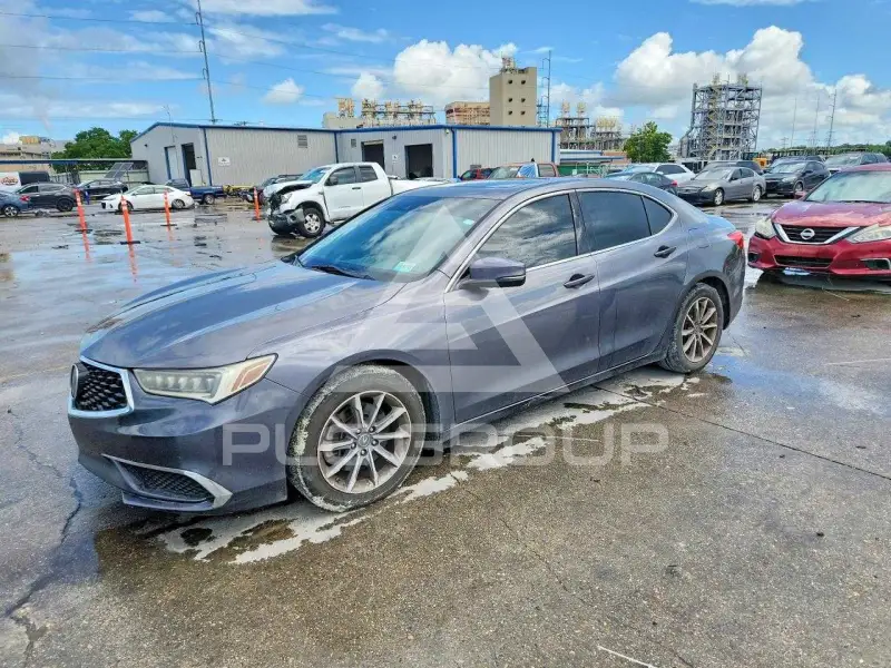 2019 Acura TLX photo
