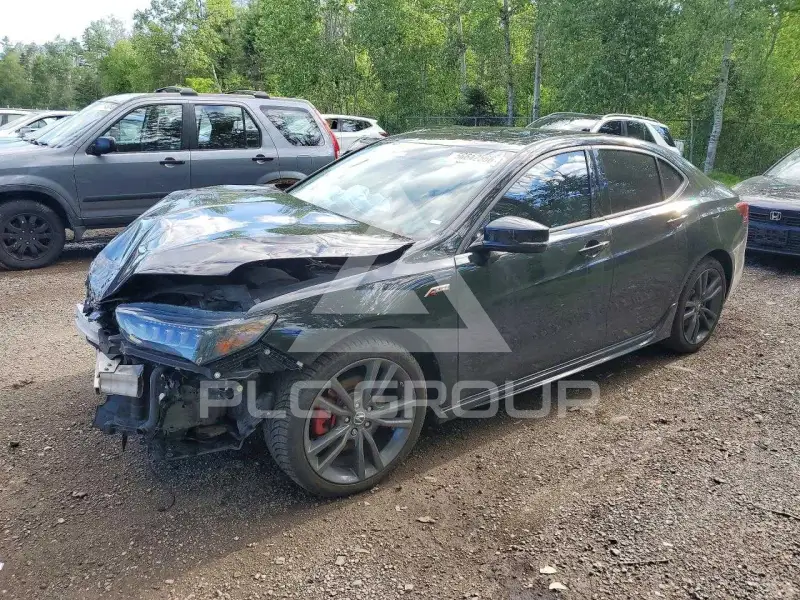 2019 Acura TLX photo