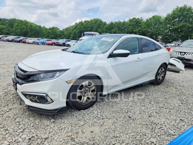 2019 Honda CIVIC фото