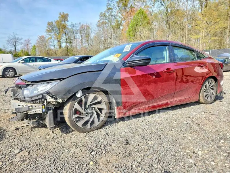 2019 Honda CIVIC photo