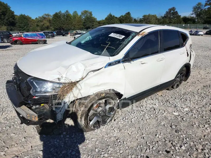 2019 Honda CR-V фото
