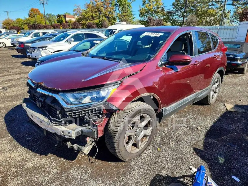 2019 Honda CR-V фото