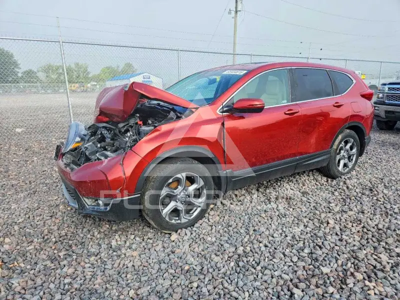 2019 Honda CR-V фото