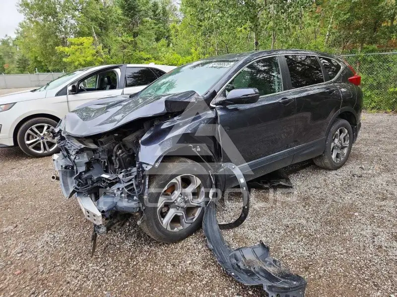 2019 Honda CR-V фото