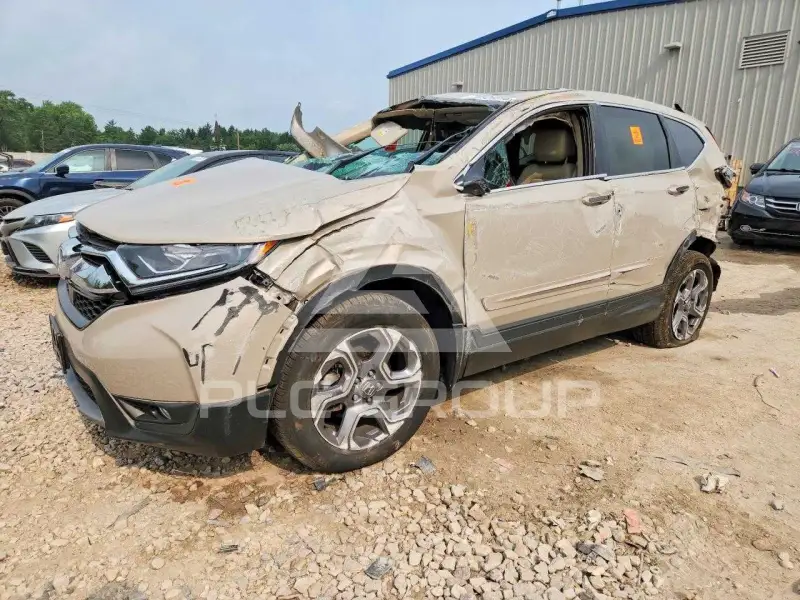 2019 Honda CR-V фото