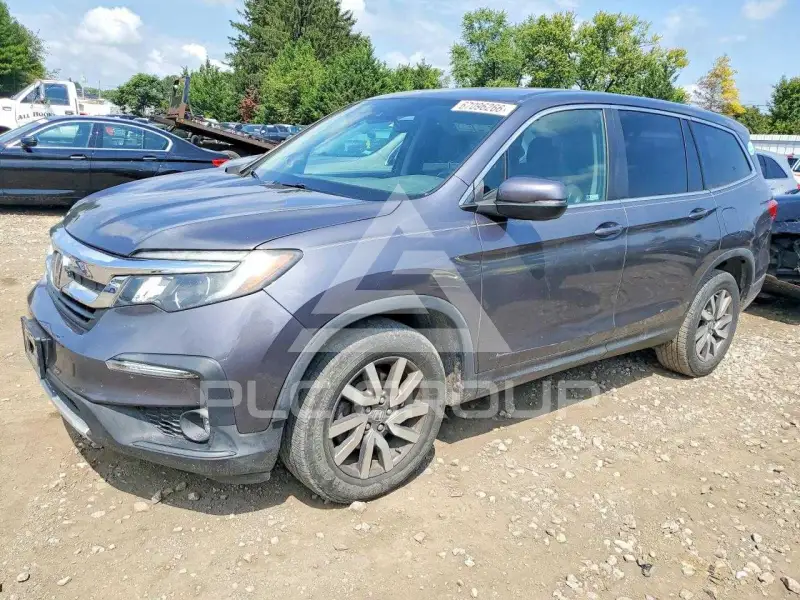 2019 Honda PILOT photo