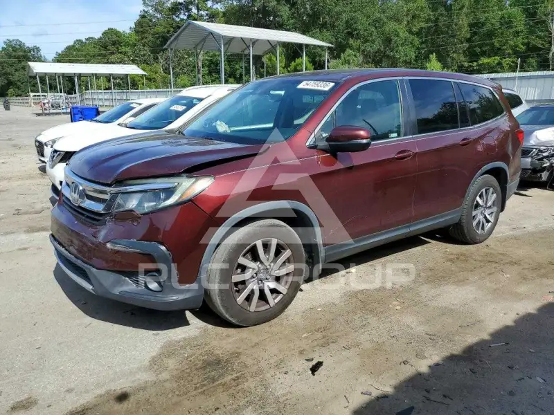 2019 Honda PILOT фото
