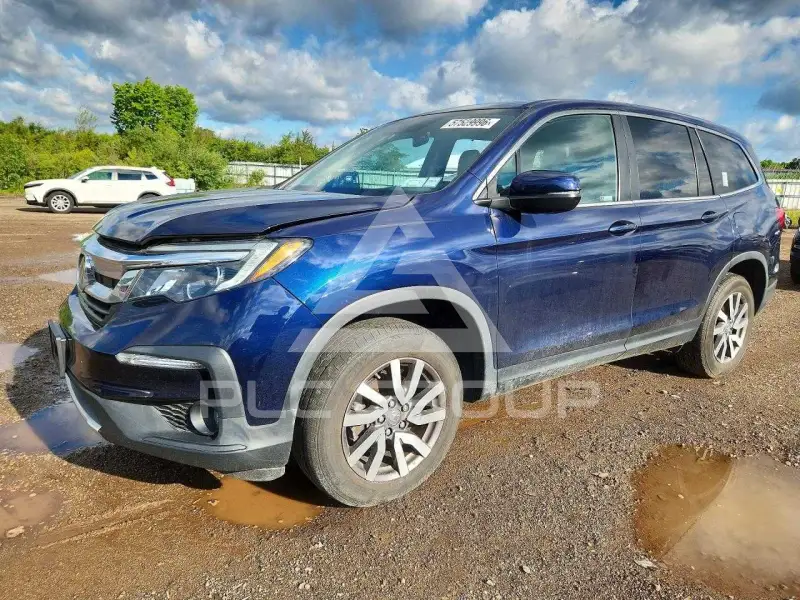 2019 Honda PILOT photo
