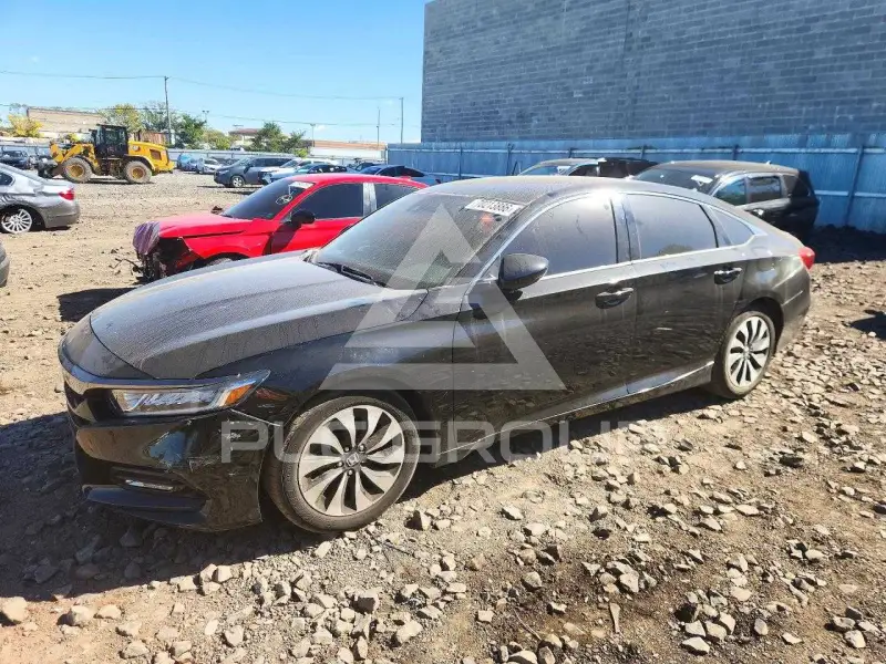 2019 Honda Accord фото