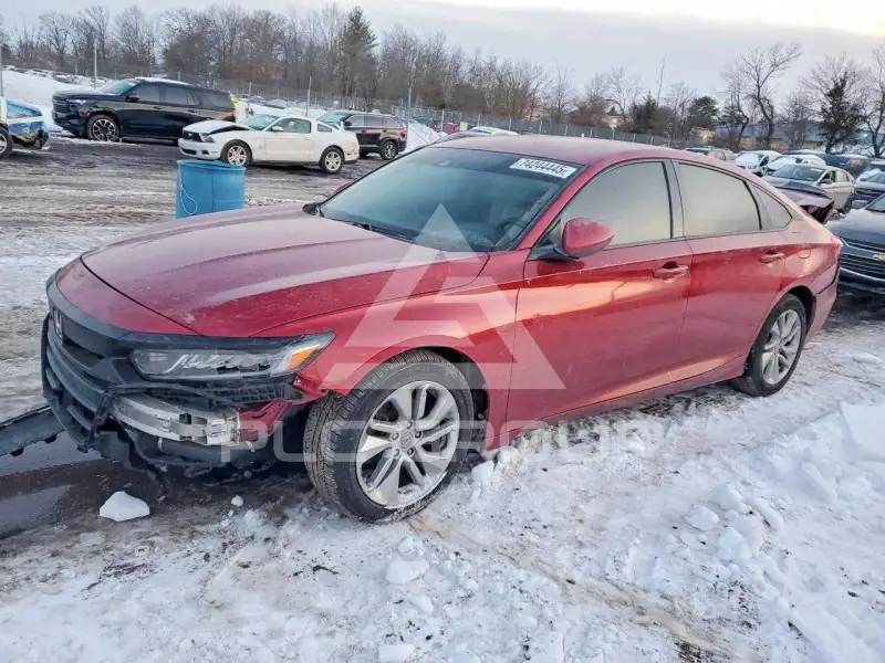 2019 Honda Accord photo