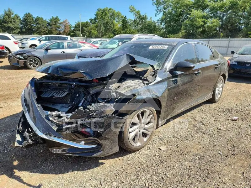 2019 Honda Accord photo