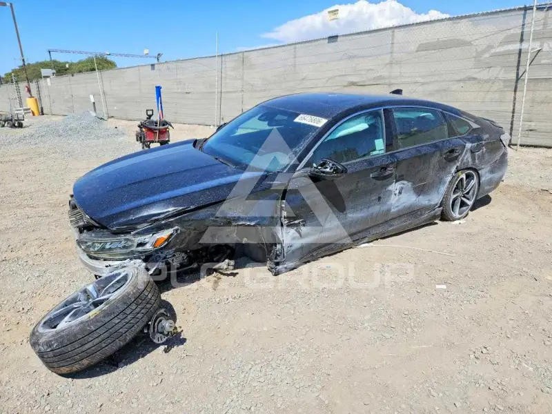 2019 Honda Accord photo