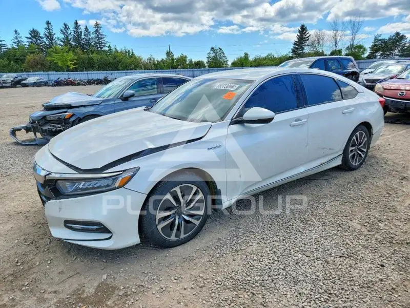 2019 Honda Accord фото