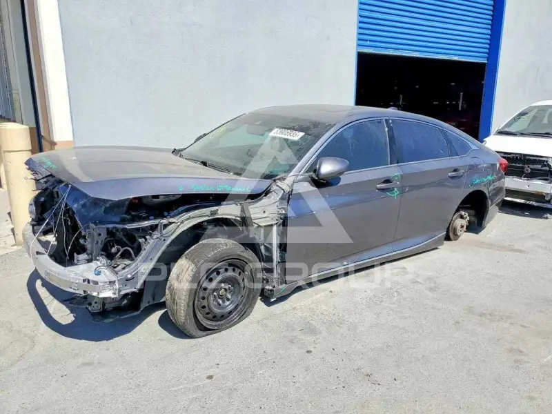 2019 Honda Accord photo