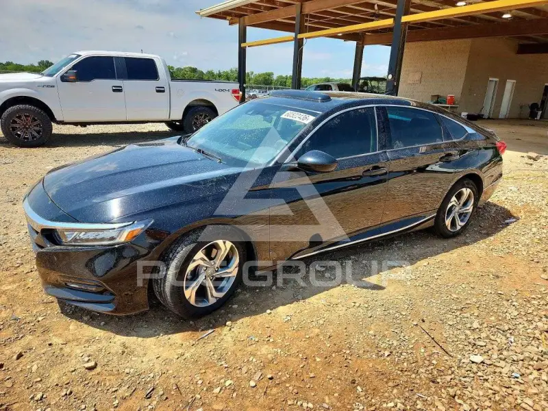2019 Honda Accord photo