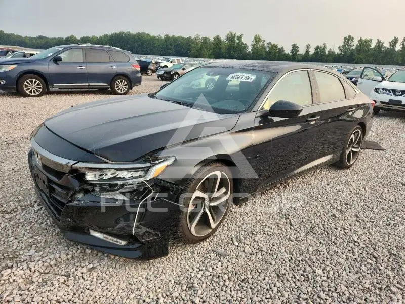 2019 Honda Accord photo