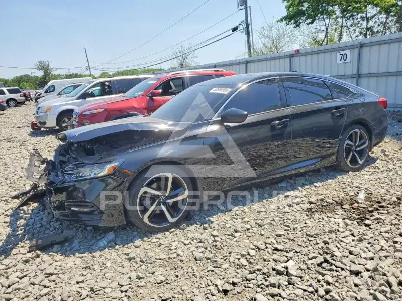 2019 Honda Accord photo