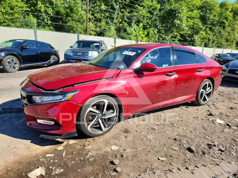 2019 Honda Accord photo