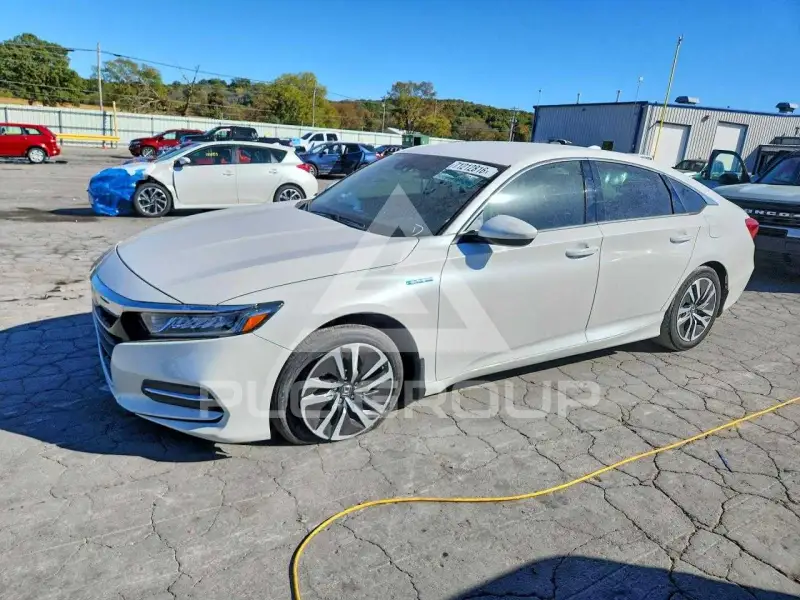 2019 Honda Accord photo