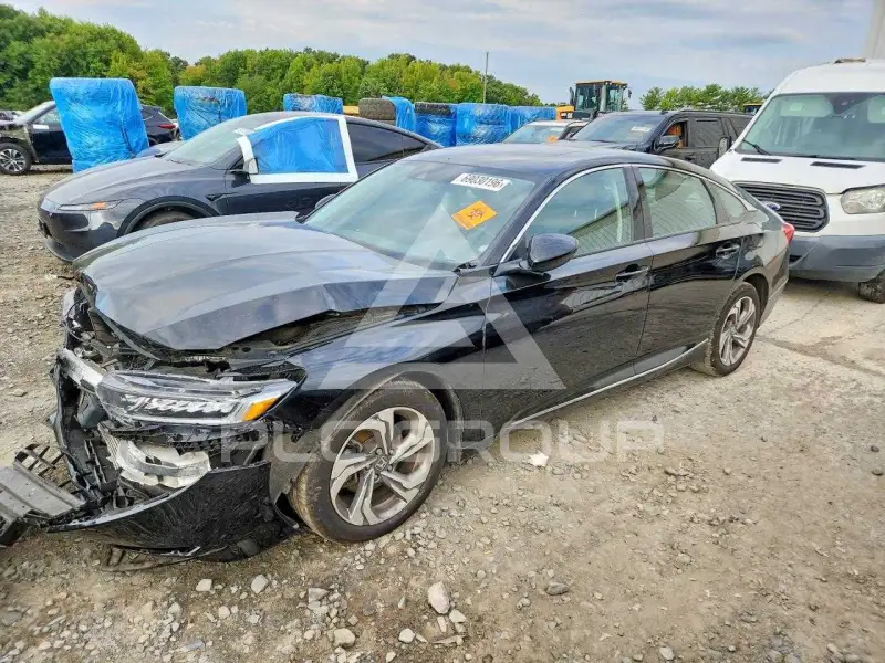 2019 Honda Accord photo
