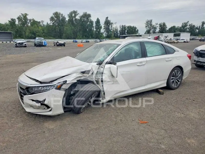 2019 Honda Accord photo