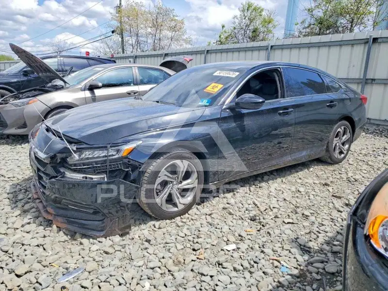 2019 Honda Accord photo