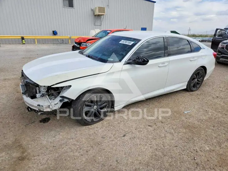 2019 Honda Accord photo
