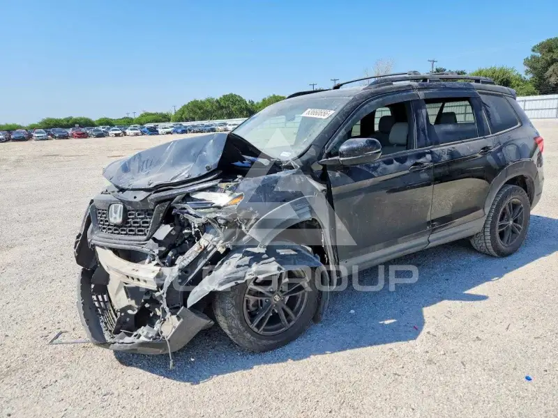 2019 Honda PASSPORT photo